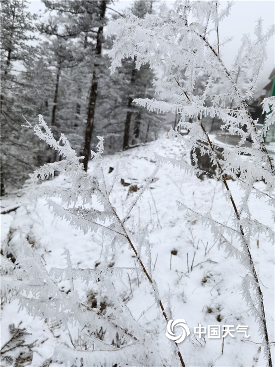 云南丽江玉龙雪山迎来降雪 变身洁白世界