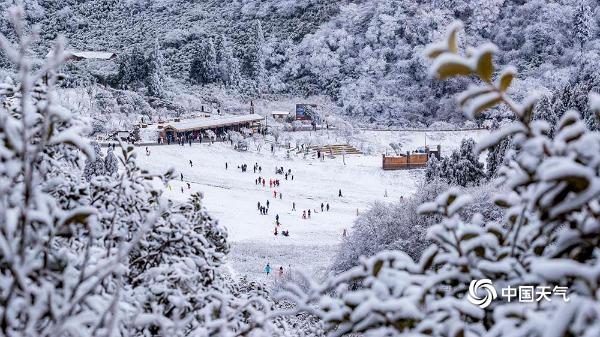 元旦雪后初晴 重庆金佛山八面山美如仙境