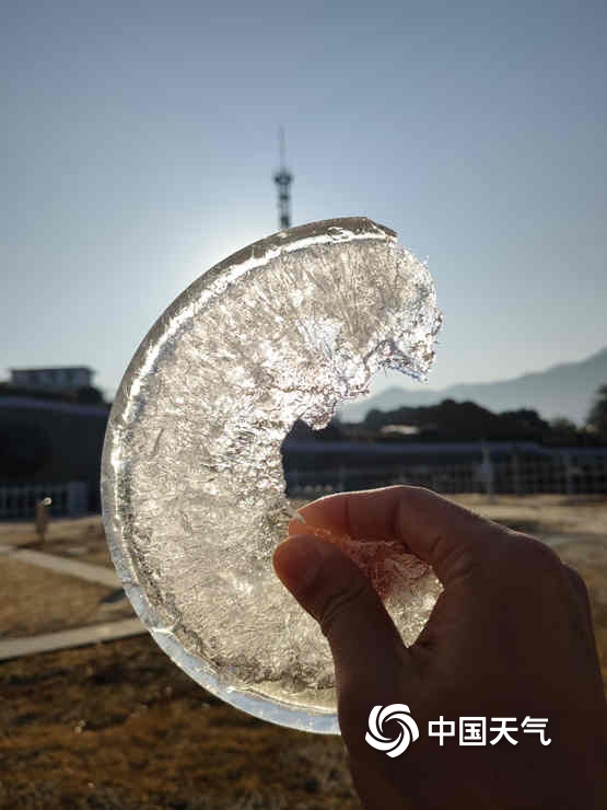 蔬果结霜 广东遭遇大范围霜冻结冰天气