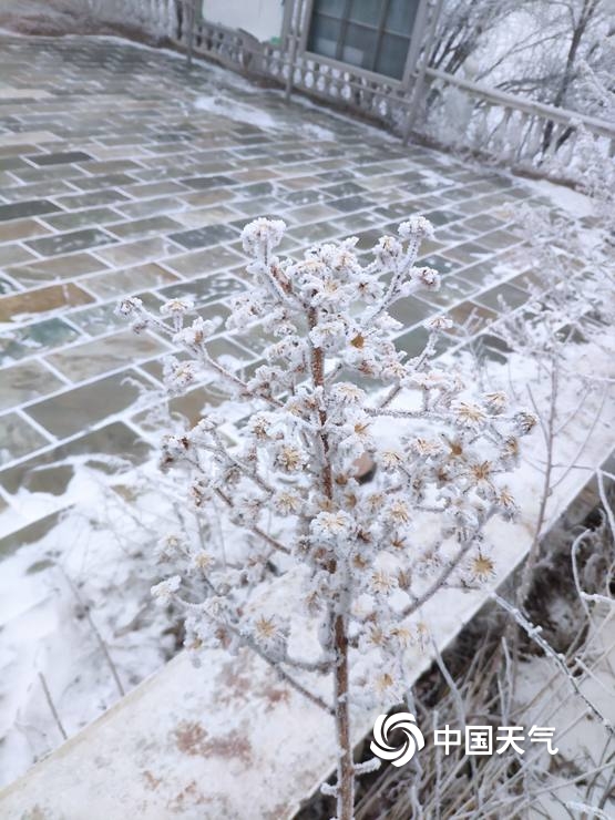 北京佛爷顶雪花与雾凇不期而遇 交织成一幅冬日美景