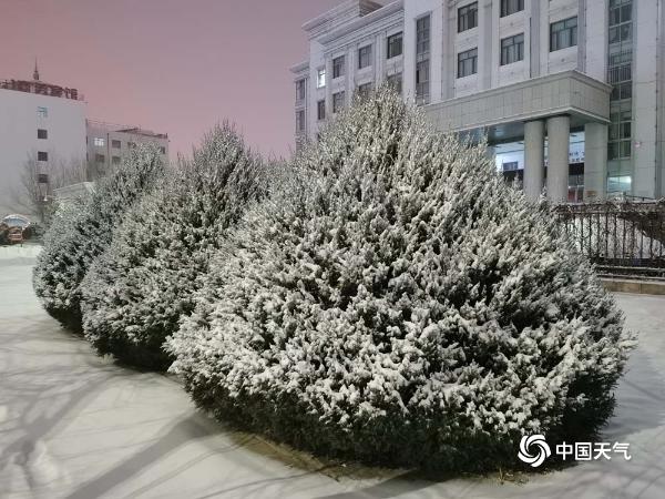 甘肃酒泉降雪 银装素裹冬韵浓