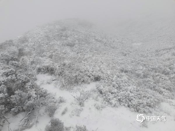 云南红河文山出现降雪 一片银装素裹