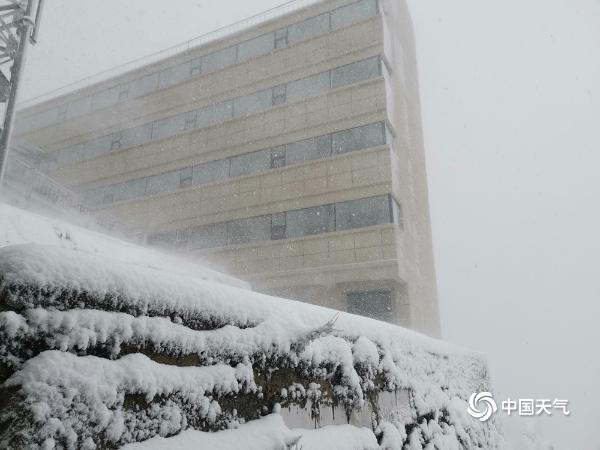 云南红河文山出现降雪 一片银装素裹