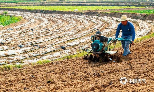 人勤春来早 广西南宁农民抓住晴朗天气开展春耕