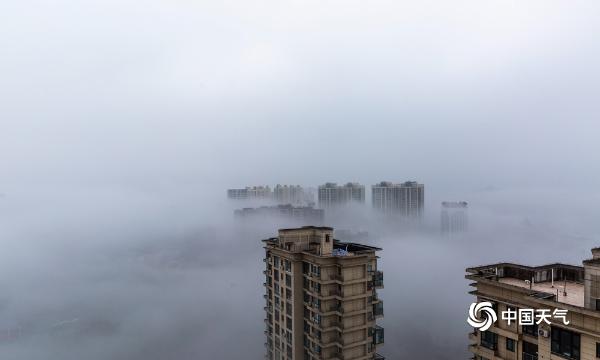 湖北黄冈现雾海 建筑物若隐若现如仙境