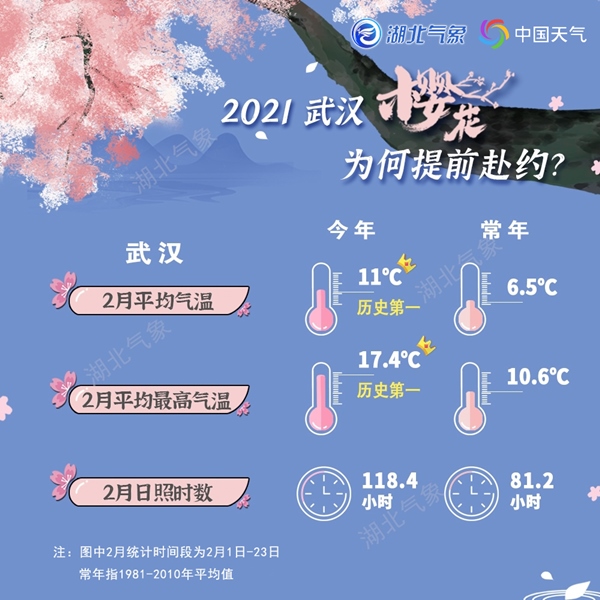 2021年武汉樱花预报出炉 今年提前绽放花期偏长