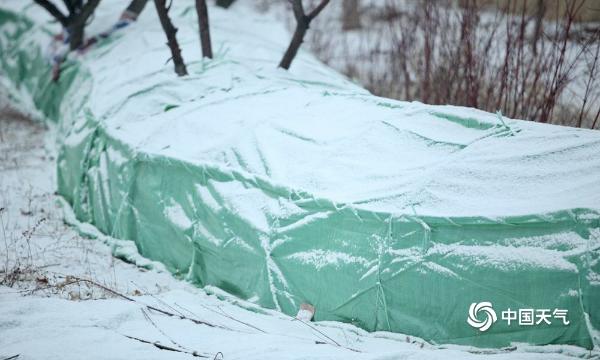 下雪啦！北京延庆雪花飘落 地面和建筑物被积雪覆盖