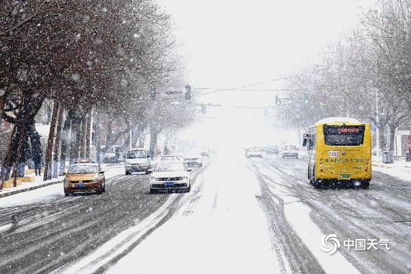 大雪纷飞！哈尔滨天地浑然一体 市民冒雪出行
