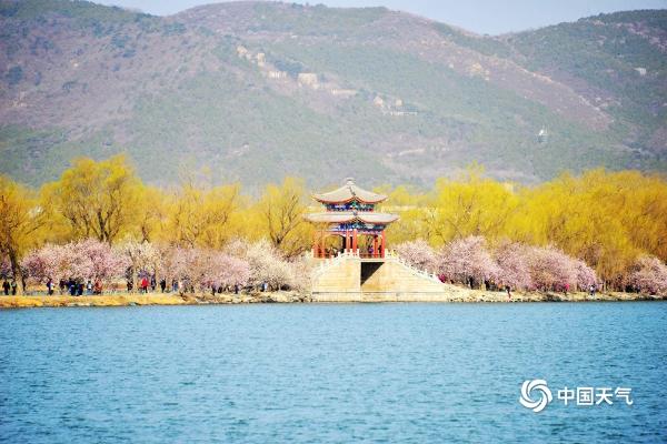 北京颐和园花朵初绽 蓝天暖阳相伴生机盎然 