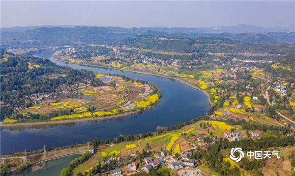 四川巴中花朵肆意绽放 春意浓浓