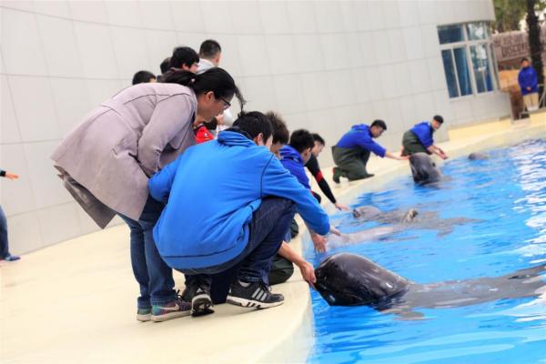 海昌海洋公园第七届孤独症家庭关爱月全国开启
