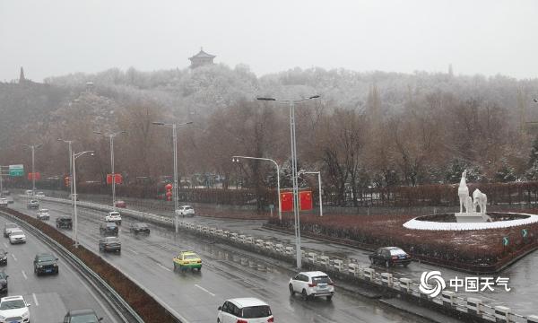 下雪了！新疆乌鲁木齐出现降雪 地面树木皆可见白