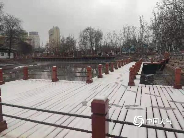 下雪了！新疆乌鲁木齐出现降雪 地面树木皆可见白
