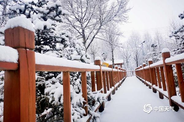 青海南部出现降雪 到处银装素裹仿若童话世界