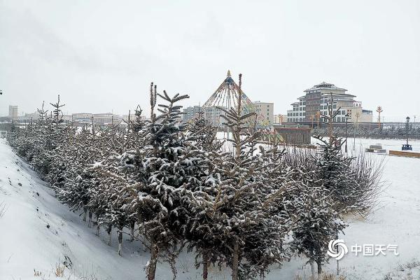 青海南部出现降雪 到处银装素裹仿若童话世界