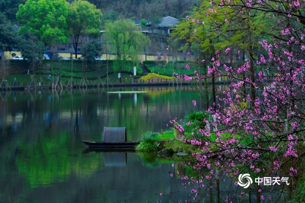 重庆彩云湖湿地公园 花红柳绿惹人醉