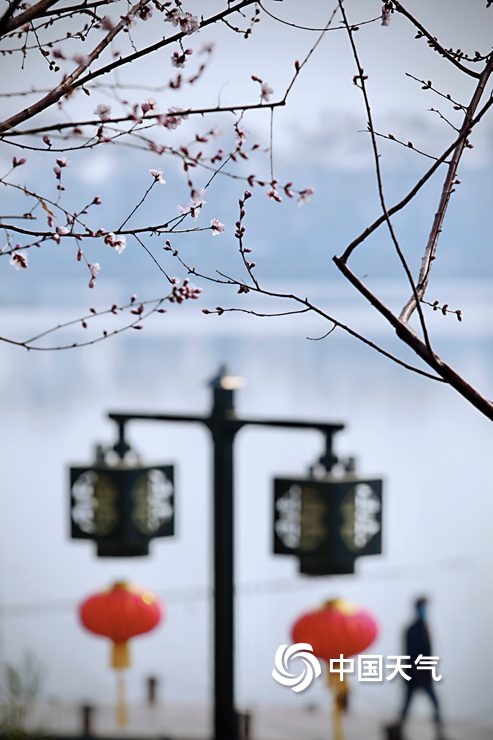 初吐芬芳 北京花朵渐次绽放赏花之旅开启