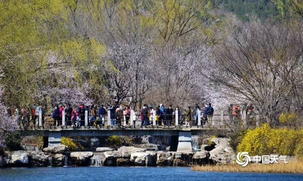 北京植物园百花争艳 游客前来赏花踏青寻觅春的气息