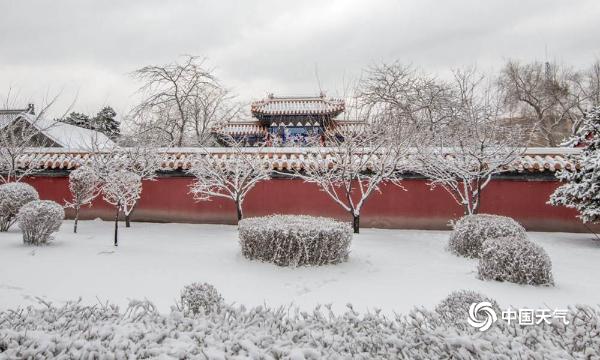 哈尔滨迎降雪 文庙在白雪的映衬下愈显古朴典雅 