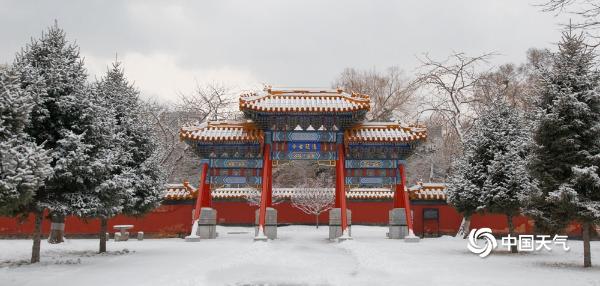 哈尔滨迎降雪 文庙在白雪的映衬下愈显古朴典雅 