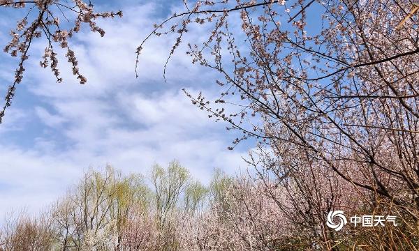 北京北坞公园午后现蓝天 一派春日风光美不胜收