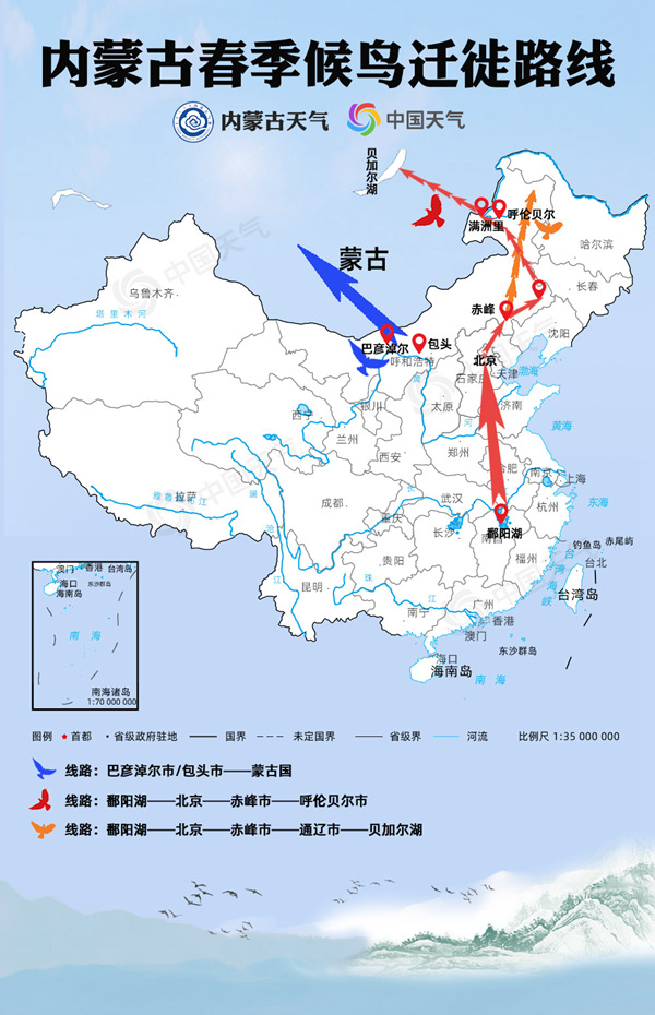 内蒙古候鸟迁徙地图来了！一文告诉你哪里是春季候鸟最佳观赏地