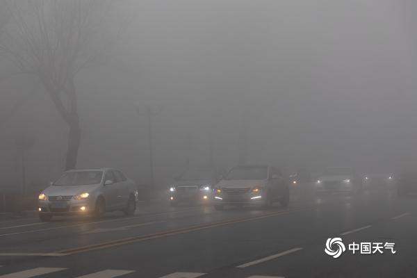 大雾锁城！吉林部分地区能见度不足50米