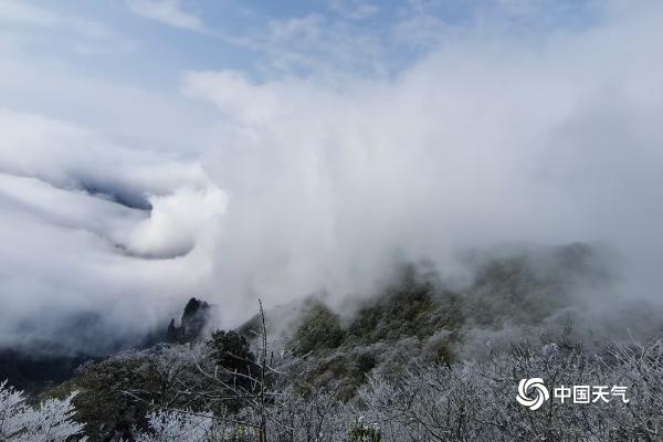 限量版美景！贵州梵净山惊现瀑布云海奇观