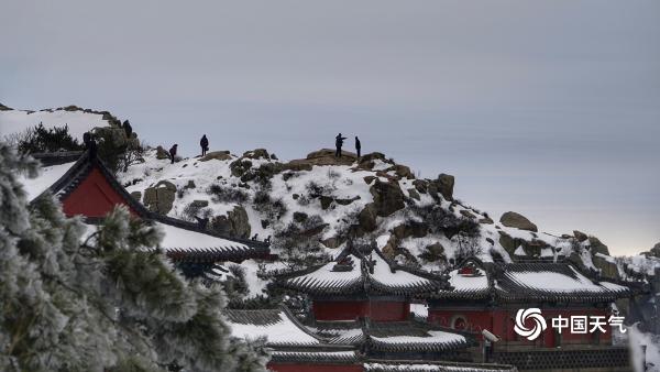 绝美！雪后泰山雾凇和云海交相辉映 宛如仙境