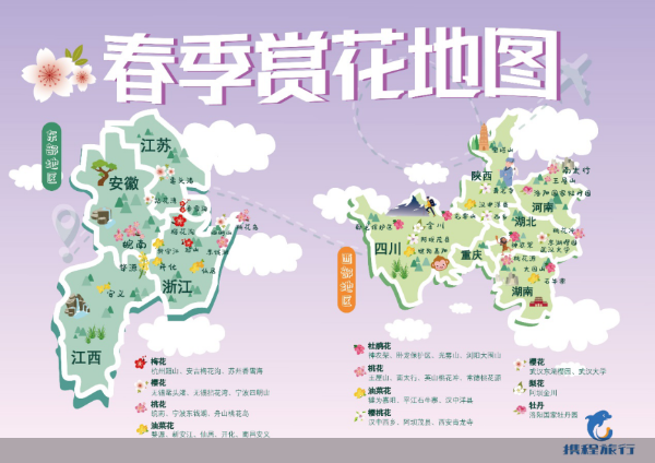 春回大地节后旅游复苏，赏花游热度上涨280%