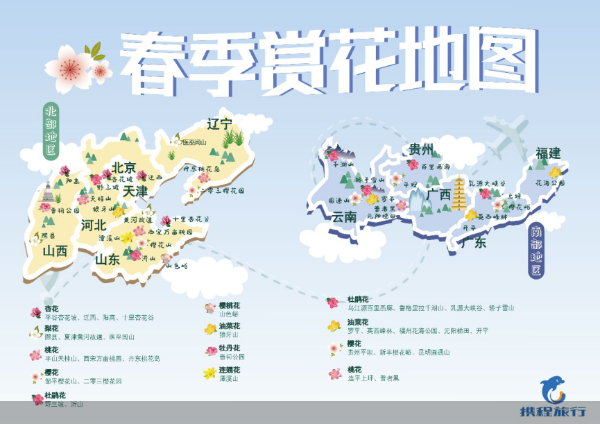 春回大地节后旅游复苏，赏花游热度上涨280%