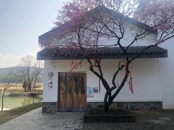 安徽肥东打造合肥民宿聚集区 谱写乡村振兴新篇章