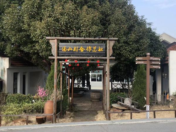 安徽肥东打造合肥民宿聚集区 谱写乡村振兴新篇章