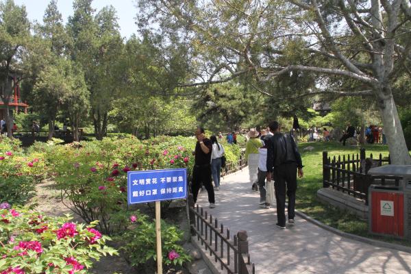 山西太原启动2021年全市公园花事文化活动