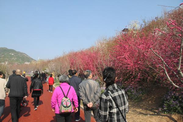 山西太原启动2021年全市公园花事文化活动