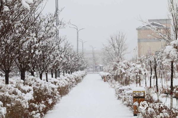 新疆伊吾降暴雪 积雪深度达10厘米
