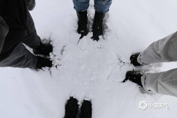 新疆伊吾降暴雪 积雪深度达10厘米