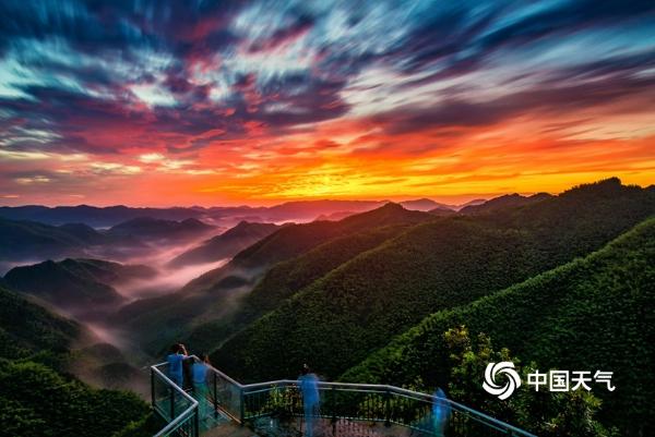 正是一年春好处 来“最氧人”的余姚四明山尽享春色