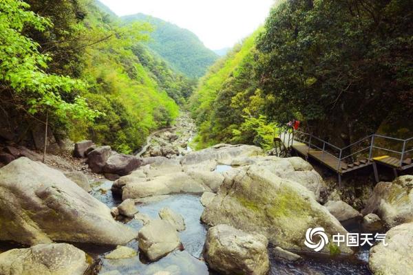 正是一年春好处 来“最氧人”的余姚四明山尽享春色