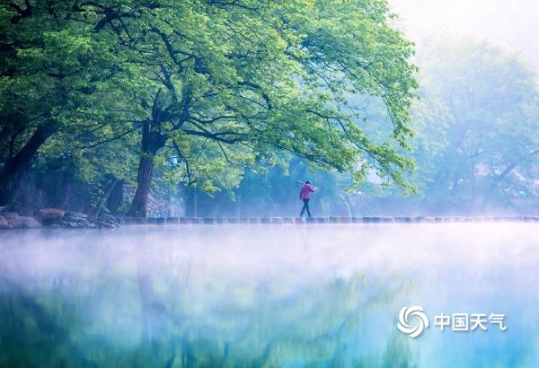 正是一年春好处 来“最氧人”的余姚四明山尽享春色