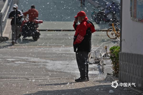 北京迎来飞絮季 北三环飞絮如“飘雪”