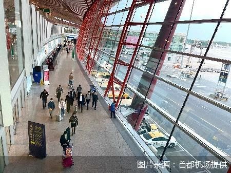 三大航一季度业绩冷热不均 各自出招角力国内市场