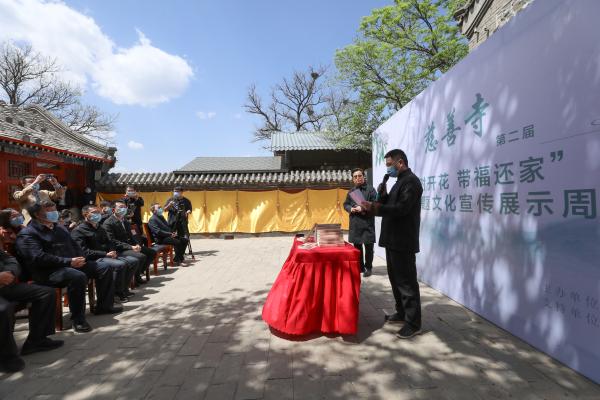 楸树花开，北京慈善寺“香会＋非遗展”丰富“五一”假期生活