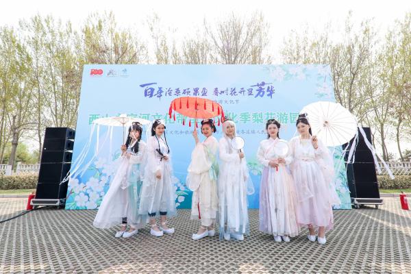 赏万亩梨花，感知传统文化，北京大兴举办梨花游园活动