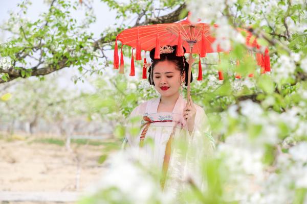 赏万亩梨花，感知传统文化，北京大兴举办梨花游园活动