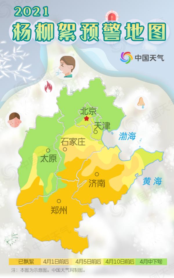 又到一年春来“雪” 2021年杨柳絮预警地图看你家何时飞絮？