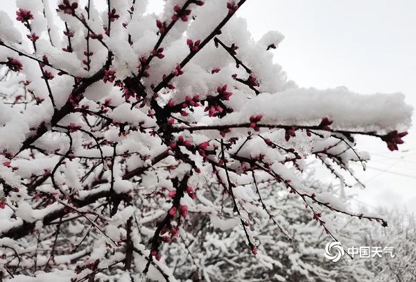 四月第一天 青海多地出现大雪重现冬日景象