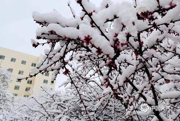 四月第一天 青海多地出现大雪重现冬日景象