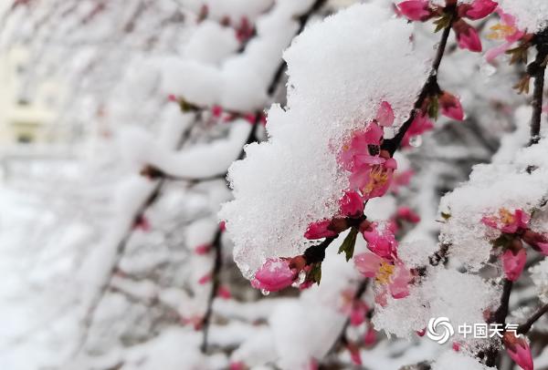 四月第一天 青海多地出现大雪重现冬日景象