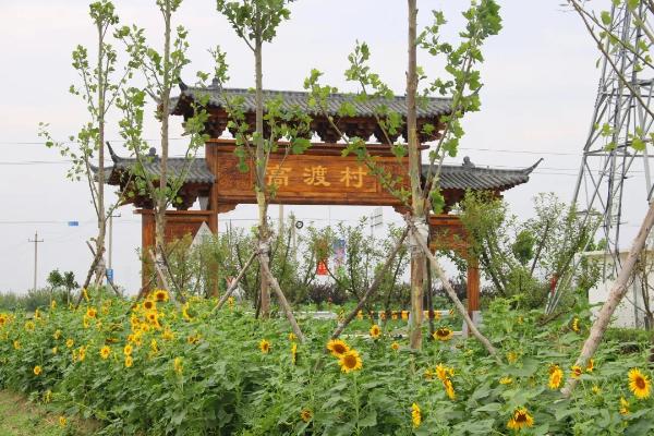 山东博兴：“旅游+”为区域发展赋能